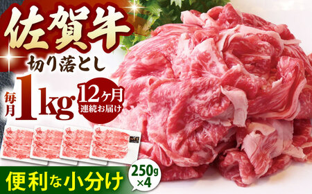 【全12回定期便】佐賀牛 A5 切り落とし 1kg（250g×4パック）  [HAD155] 佐賀牛
