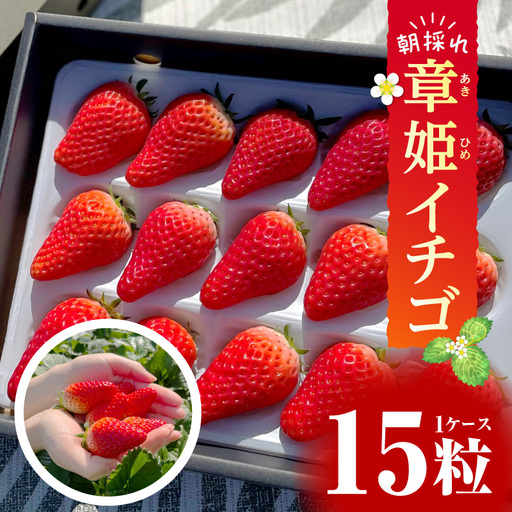 [2027年1月〜発送]章姫(あきひめ)イチゴ15粒×1ケース [生産地]愛知県西尾市産・D033-180