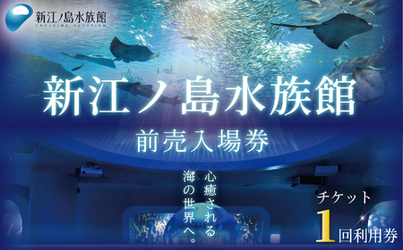 新江ノ島水族館 前売入場券 大人1枚 / 水族館 チケット 観光
