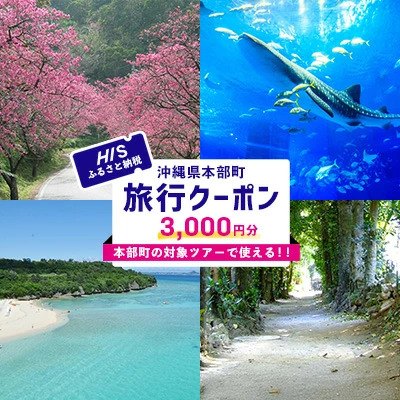 HISふるさと納税クーポン（沖縄県本部町）3千円分 観光