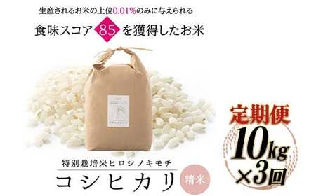 【3回定期】特別栽培米 コシヒカリ ヒロシノキモチ 精米 10kg 総計30kg ブランド米 銘柄米 国産 米 お米 日本米 ギフト 贈り物 備蓄 防災 食品 陽咲玲 はるざれ F6T-993