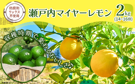 マイヤーレモン 約2kg 14?16個 BUBD008 レモン