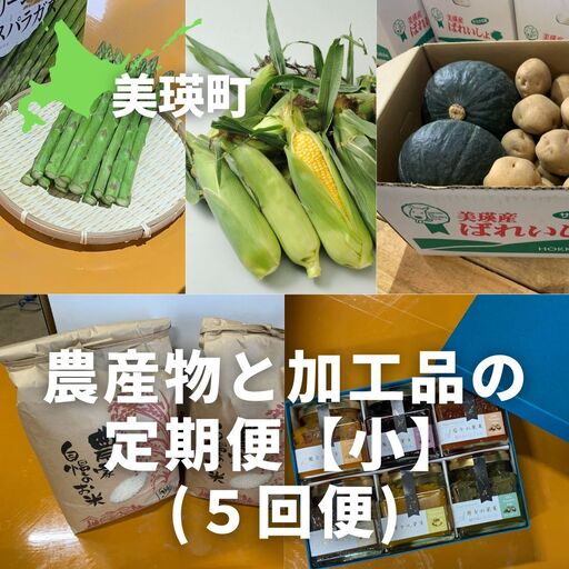 【先行予約】野菜 定期便 加工品【小】 5回便 【令和9年産】 野菜 セット 詰め合わせ
