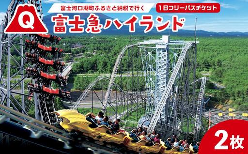 富士急ハイランドワンデイパスペアチケット|テーマパーク 遊園地 富士急 富士急ハイランド レジャー アウトドア