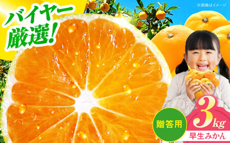 みかん 3kg (早生)[贈答]みかん 柑橘 [AGAR007]