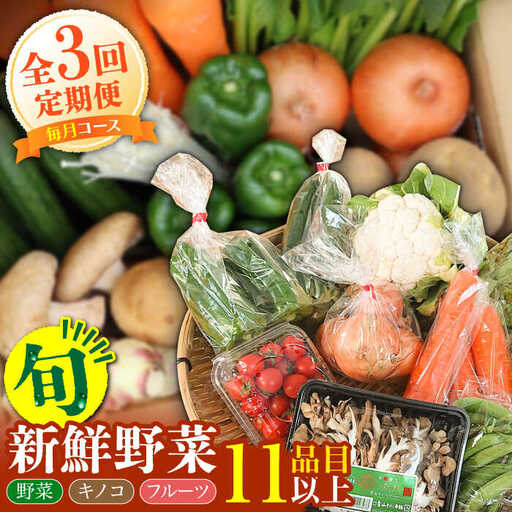 【毎月コース】野菜 キノコ 果物 11品目 詰め合わせ 3回定期便 / やさい定期便 野菜定期便 野菜セット やさいセット 春野菜 夏野菜 秋野菜 冬野菜 / 南島原市 / 吉岡青果[SCZ022]