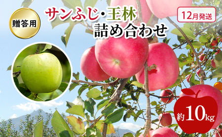 りんご 【 12月発送 】 糖度13度～贈答用 サンふじ ・ 王林 詰め合わせ 約 10kg