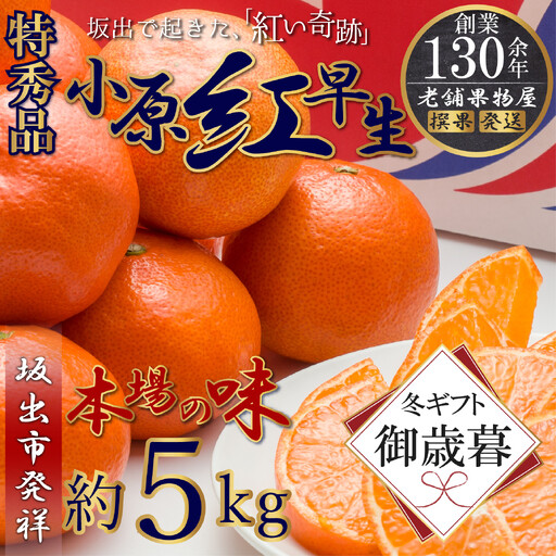 【お歳暮ギフト/熨斗対応】特秀品！小原紅早生みかん　約5kg【坂出発祥の真っ紅なお蜜柑】 お歳暮