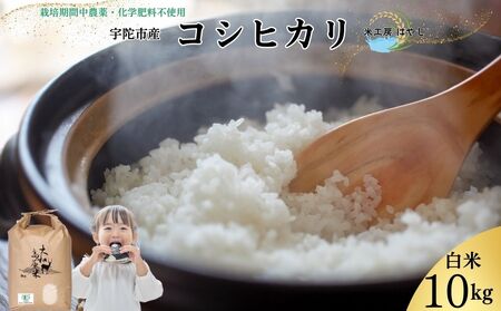 <掲載中止>令和6年宇陀市産 栽培期間中無農薬・無化学肥料米 白米10kg / ふるさと納税 米 こめ お米 お取り寄せ 美味しい ブランド オススメ 産地 大和高原 精米済 送料無料 奈良 宇陀 令和6年 新米 白米 コシヒカリ 米工房はやし