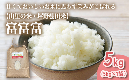 山の湧き水 寒暖差 山里 山里の米･坪野米 R7年産 富富富 5kg   ※北海道・沖縄・離島への配送不可