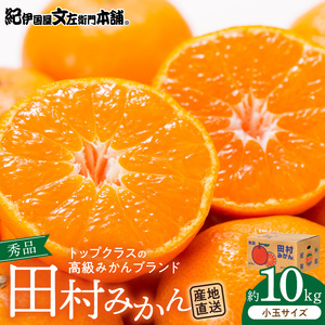 【2026年先行予約】田村みかん 10kg 小玉サイズ 秀品_V7446
