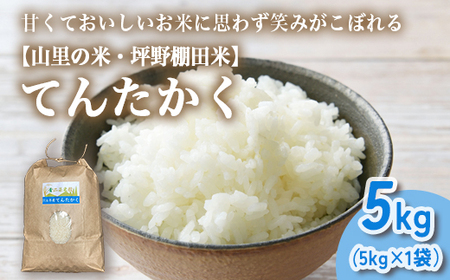 山の湧き水 寒暖差 山里 山里の米･坪野米 R7年産 てんたかく 5kg　※北海道・沖縄・離島への配送不可