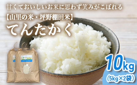 山の湧き水 寒暖差 山里 山里の米･坪野米 R7年産 てんたかく 10kg（5kg×2）　※北海道・沖縄・離島への配送不可