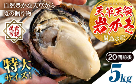 岩牡蠣 5kg かき 福島水産 牡蠣 生食