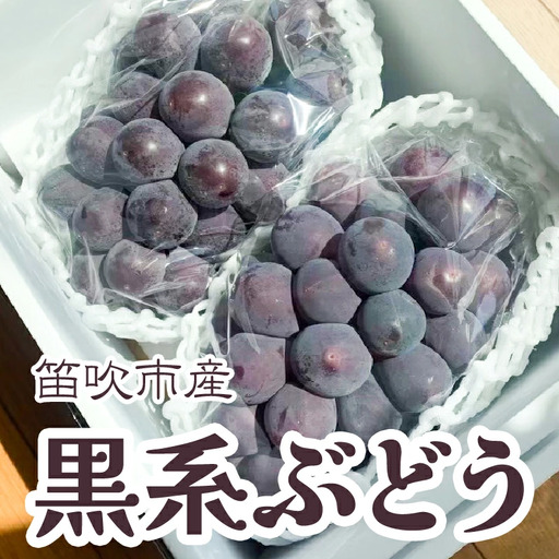 【2026年発送★先行予約】黒系ぶどう2房(合計1kg程度) 229-005-26y