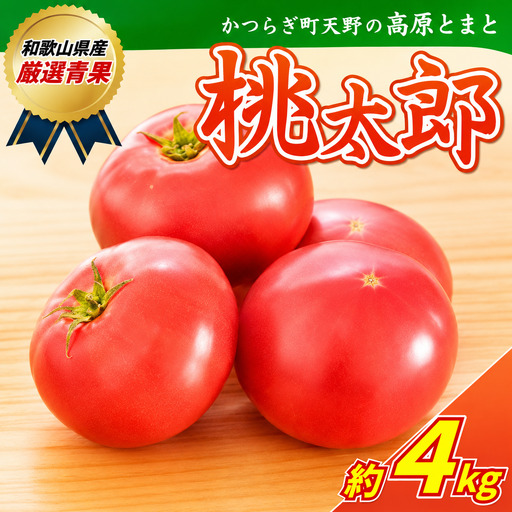 トマト 太陽の恵みたっぷりの天野とまと[桃太郎トマト約4kg][2026年7月中旬〜10月下旬発送][A011-frks007]
