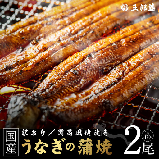 【訳あり】老舗「五郎藤」関西風地焼き 国産有頭旨鰻 170g前後×2尾