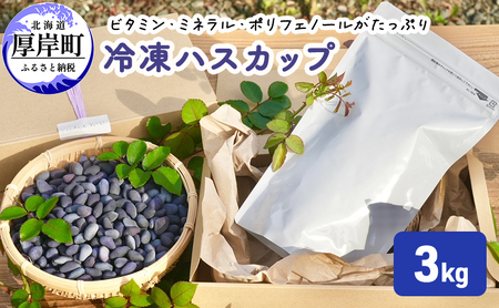 ハスカップ 冷凍 3kg 2026年収穫【厚岸ハスカ】[ アントシアニン スーパーフード 果実 ビタミン ミネラル 抗酸化作用 ポリフェノール 北海道産 ]