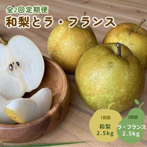 【定期便：全２回】和梨とラ・フランス　各２.５ｋｇ　0012-2608
