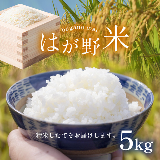 令和7年度 はが野米 こしひかり 5kg