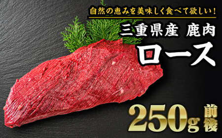[ ジビエ ]鹿肉 ロース 250g|サステナブル SDGs 新鮮 低カロリー ヘルシー 熟成 ステーキ 焼肉 シカ 小分け ジビエ食材 YZ-f-4