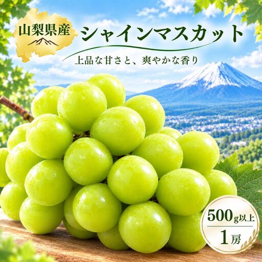 シャインマスカット500g以上（1房）【2027年発送】　シャインマスカット フルーツ