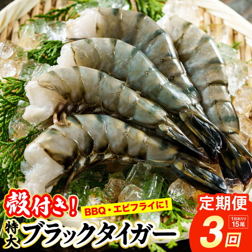 [3回定期便]特大 ブラックタイガー 無頭えび 570g前後(15尾)×3回