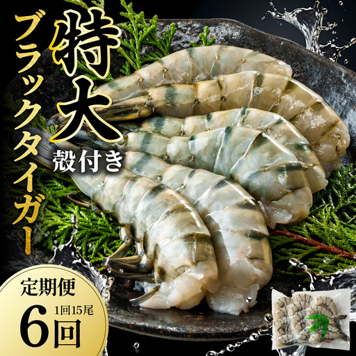 【6回定期便】特大 ブラックタイガー 無頭えび 570g前後（15尾）×6回 