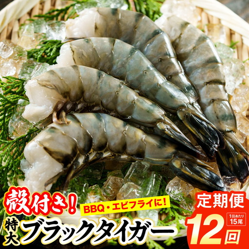 【12回定期便】特大 ブラックタイガー 無頭えび 570g前後（15尾）×12回