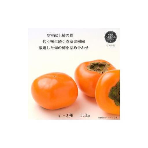 皇室献上柿の郷より真家果樹園[柿]多品種詰め合わせ(14〜17玉)約3.5kg 太秋・富有など(茨城県共通返礼品・石岡市産)