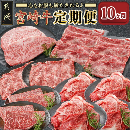 心もお腹も満たされる♪宮崎牛定期便(10ヶ月)〔T140-10-6501〕_(都城市) 宮崎牛 肩ローススライス/うで・ももスライス/切落しスライス/ロースステーキ/モモステーキ/ 10ヶ月連続でお届け 定期便