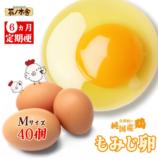 [6か月定期便]自然飼い 純国産鶏「もみじ」卵 40個入 (Mサイズ) [04209-0238] たまご