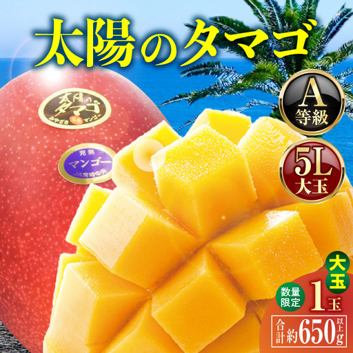 [2027年発送][数量限定]宮崎県産 太陽のタマゴ A等級 5Lサイズ×1玉(約650g以上)_kn056-015
