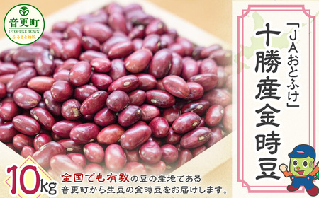〔先行受付〕【令和8年産】 金時豆10kg「JAおとふけ」【D43】 【2026年10月下旬頃より順次発送】