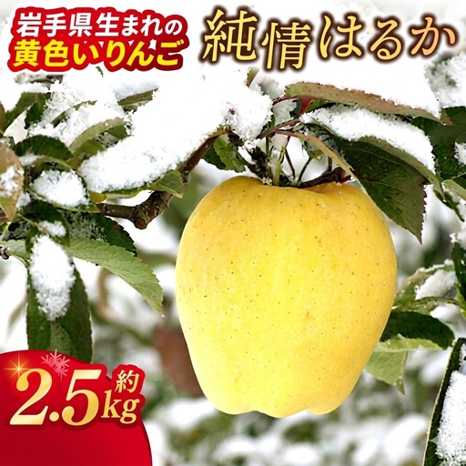 【先行予約】りんご 純情はるか 自家用 (AI024)りんご