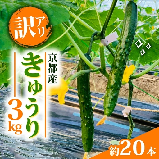 [訳アリ]きゅうり 3kg 訳あり 京都府 野菜 サラダ おつまみ 夏 漬物 ボリューム ファミリー 料理 キュウリ 20本 5000円