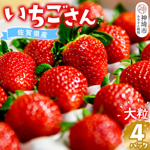 [先行受付 令和9年1月より発送]佐賀県産『いちごさん』4Pセット(H108101)