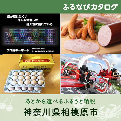 [有効期限なし!後からゆっくり特産品を選べる]神奈川県相模原市カタログポイント