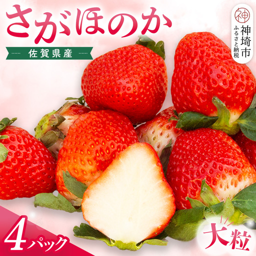 [先行受付 令和9年1月より発送]佐賀県産『さがほのか』4Pセット(H108103)