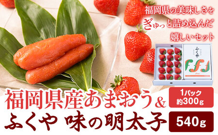 福岡県産あまおうギフト箱 & ふくや味の明太子 540g 南国フルーツ株式会社《12月上旬-3月末頃出荷》福岡県 小竹町 あまおう いちご めんたいこ 明太子 セット 送料無料【配送不可地域あり】