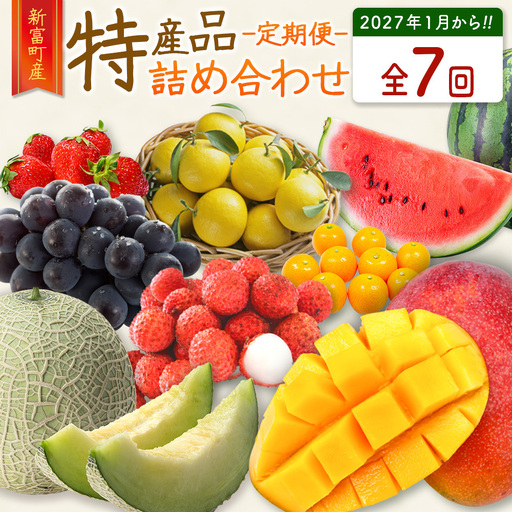 2027年出荷 新富町 特産フルーツ 詰め合わせ 定期便 7か月コース くだもの マンゴー ライチ メロン 柑橘 国産 F150-27