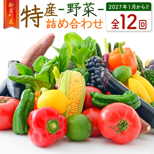 2027年出荷 新富町 特産 野菜 詰め合わせ 定期便 12か月コース 旬 やさい 国産 G51-27