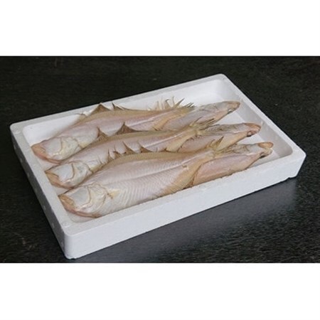 美味い、脂の乗った浜坂産一夜干しかれい　約1.0kg　5～8枚入【配送不可地域：離島】【1561770】