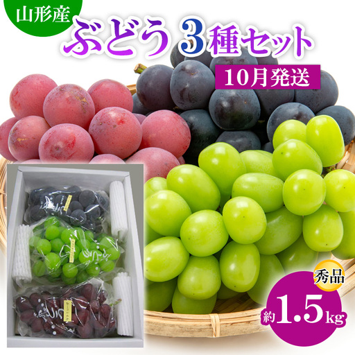 山形市産 ぶどう3種セット 秀 約1.5kg[10月発送] 【令和8年産先行予約】FS24-812 くだもの 果物 フルーツ 山形 山形県 山形市 2026年産
