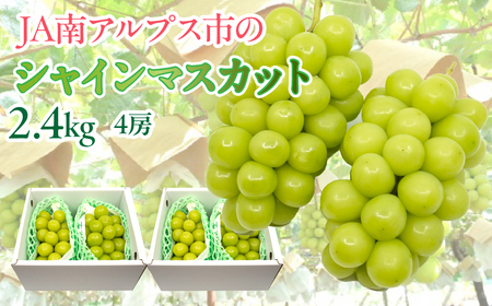 ＜2026年発送先行予約＞★TBSテレビ系列「ひるおび」で取り上げられました！★シャインマスカット 約1.2kg×2セット（2.4kg） ALPAA047 | JA南アルプス 大容量 おすすめ 厳選 |
