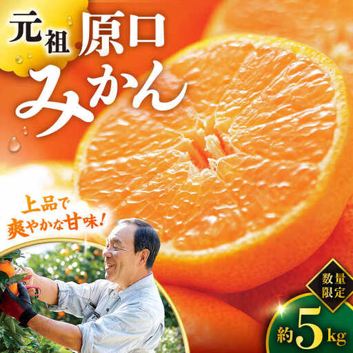 原口みかん 5kg みかん CCW001