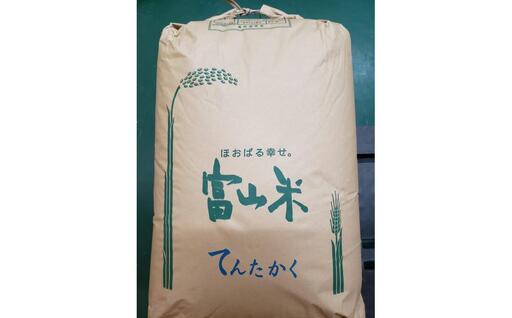 【令和8年産】みどりふぁーむのてんたかく 玄米 30kg