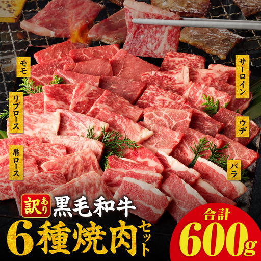 ≪訳あり≫黒毛和牛(経産牛)6種焼肉セット(合計600g) 肉 牛 牛肉 おかず 国産_T030-1206