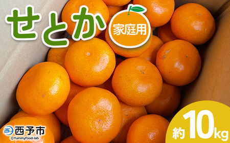 【先行予約】＜せとか 家庭用 約10kg＞ 訳あり わけあり 自宅用 果物 フルーツ みかん ミカン 蜜柑 オレンジ 柑橘 セトカ 選べる ジューシー サイズ不揃い 食べて応援 特産品 柑橘園柴田 愛媛県 西予市【常温】『2027年2月下旬～3月中旬迄に順次出荷予定』MKE0009