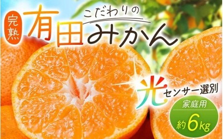 [2027年1月発送予約] ご家庭用 こだわりの有田みかん 約6kg+150g(傷み補償分) [ 光センサー選別 農家直送 / みかん ミカン 有田みかん 温州みかん 柑橘 フルーツ 果物 くだもの 旬 人気 みかん先行予約 家庭用 和歌山[nuk102-01A]